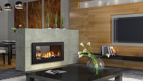 Regency HZ42STE See-through Gas Fireplace