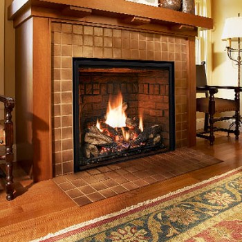 Mendota Fullview Gas Fireplace